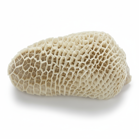 Tripe de mouton